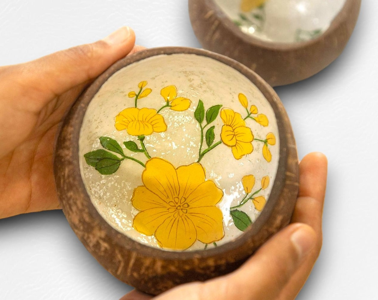 Summer Breeze Coconut Bowls -Set of 2